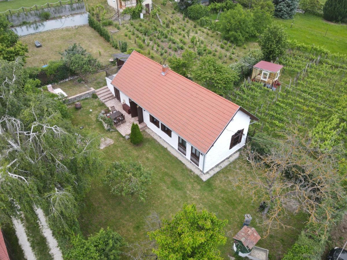 Villa Badacsonyi Présház à Bytom Extérieur photo